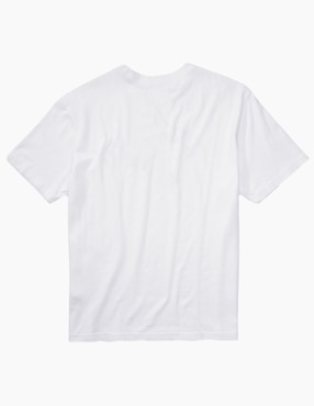 Playera American Eagle cuello redondo para hombre
