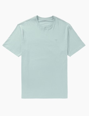 Playera American Eagle cuello redondo para hombre